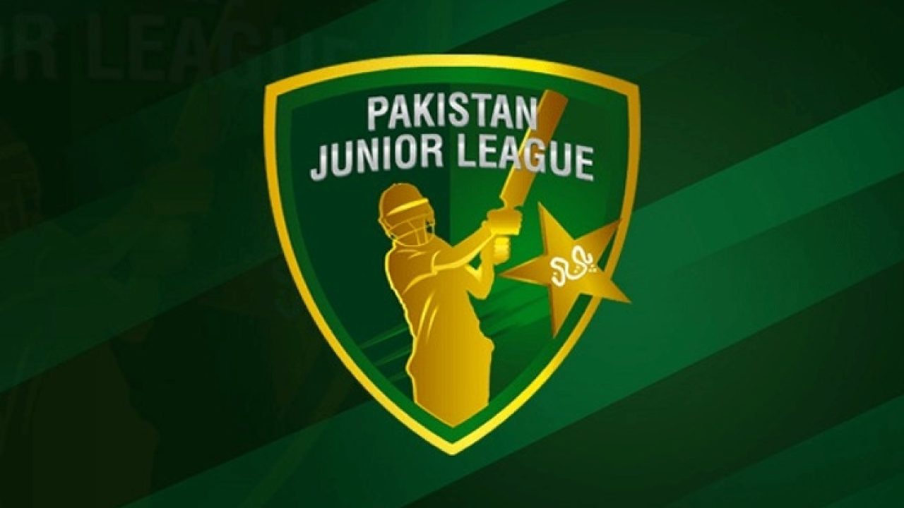 Pakistan national cricket team logo